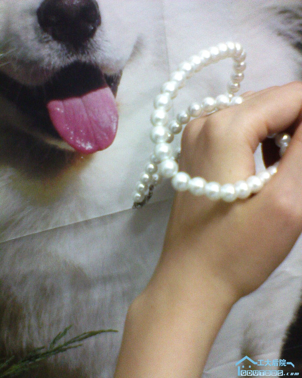 DSC00080.JPG