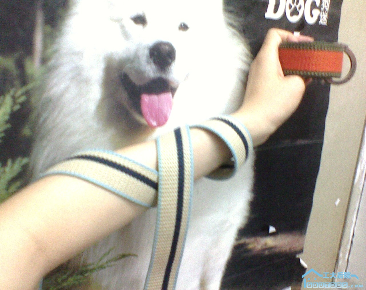 DSC00045.JPG