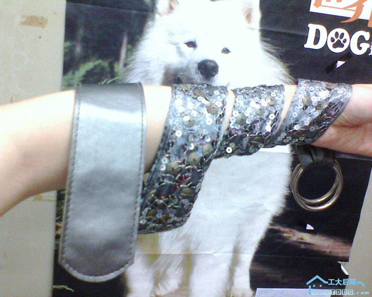 DSC00103.JPG