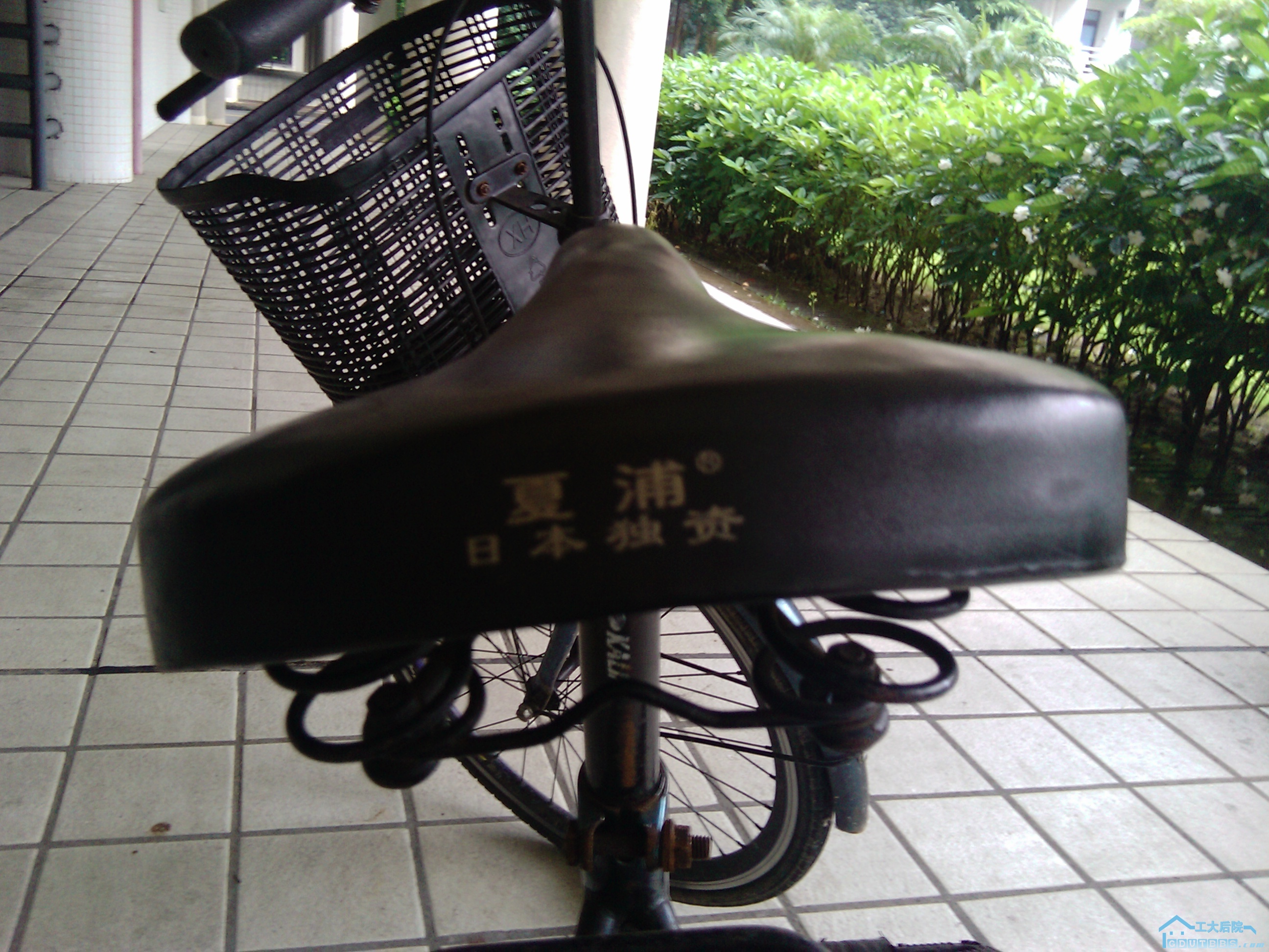 2010-06-26 16.01.09.jpg