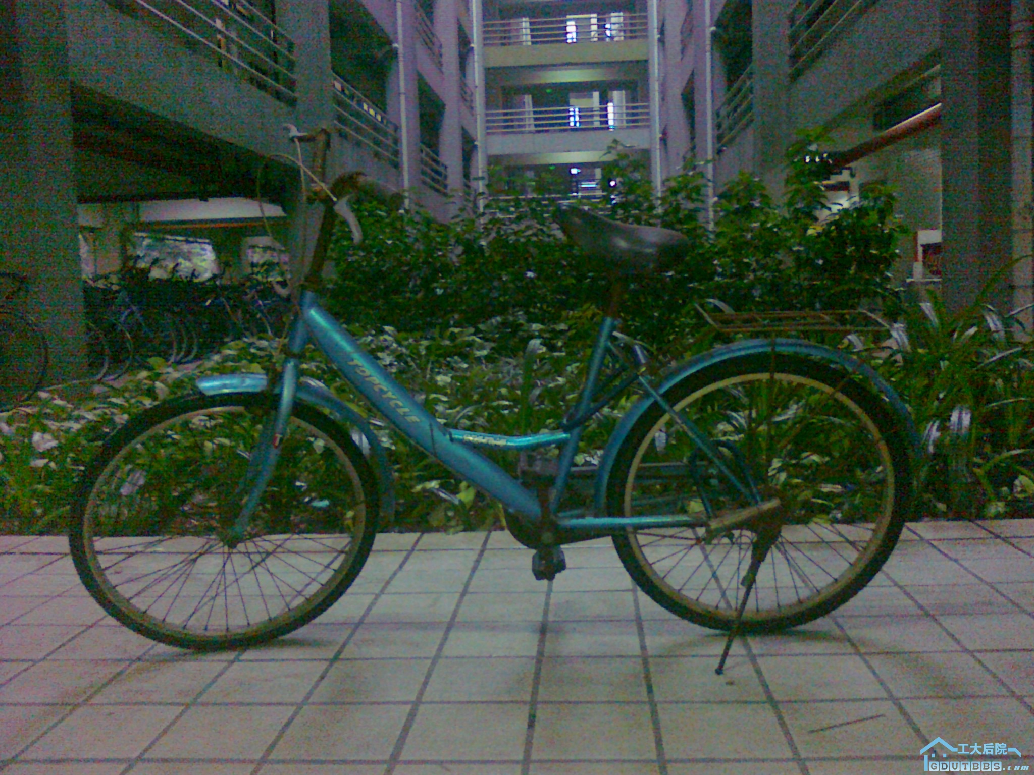 20100626123.jpg