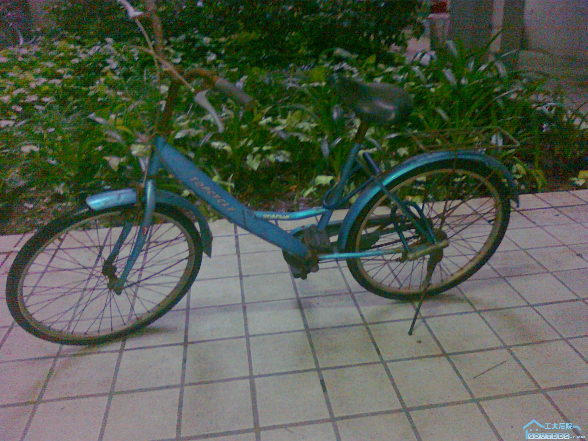 20100626126.jpg