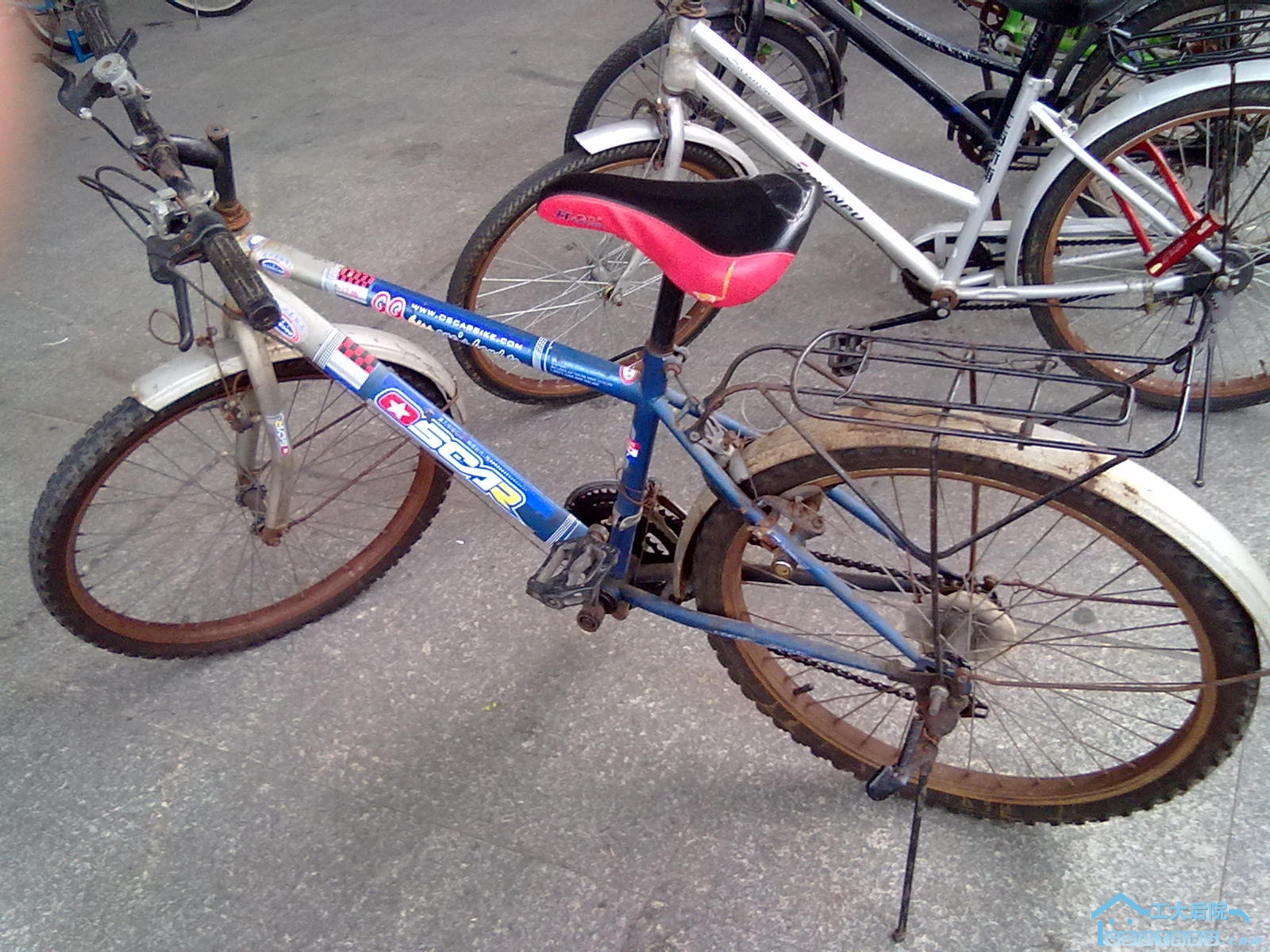 单车1.jpg