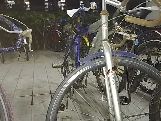20100626405.jpg