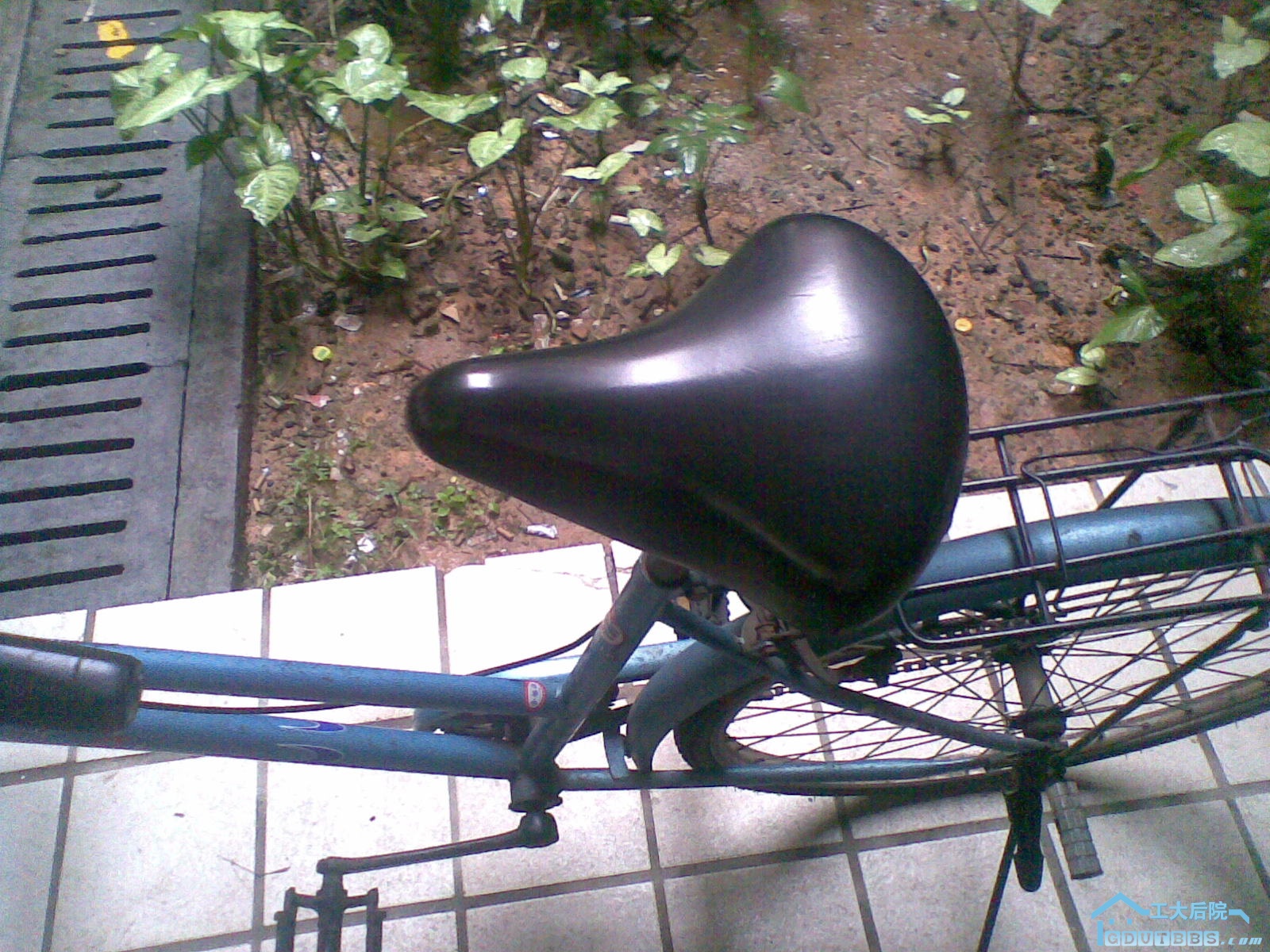 20100627_009.jpg