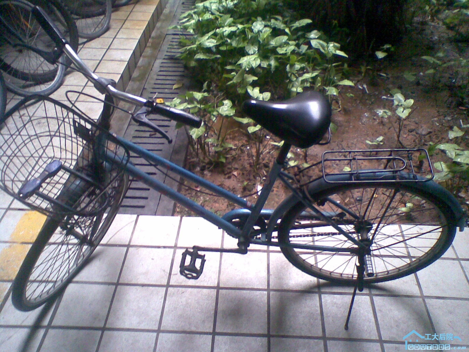 20100627_001.jpg