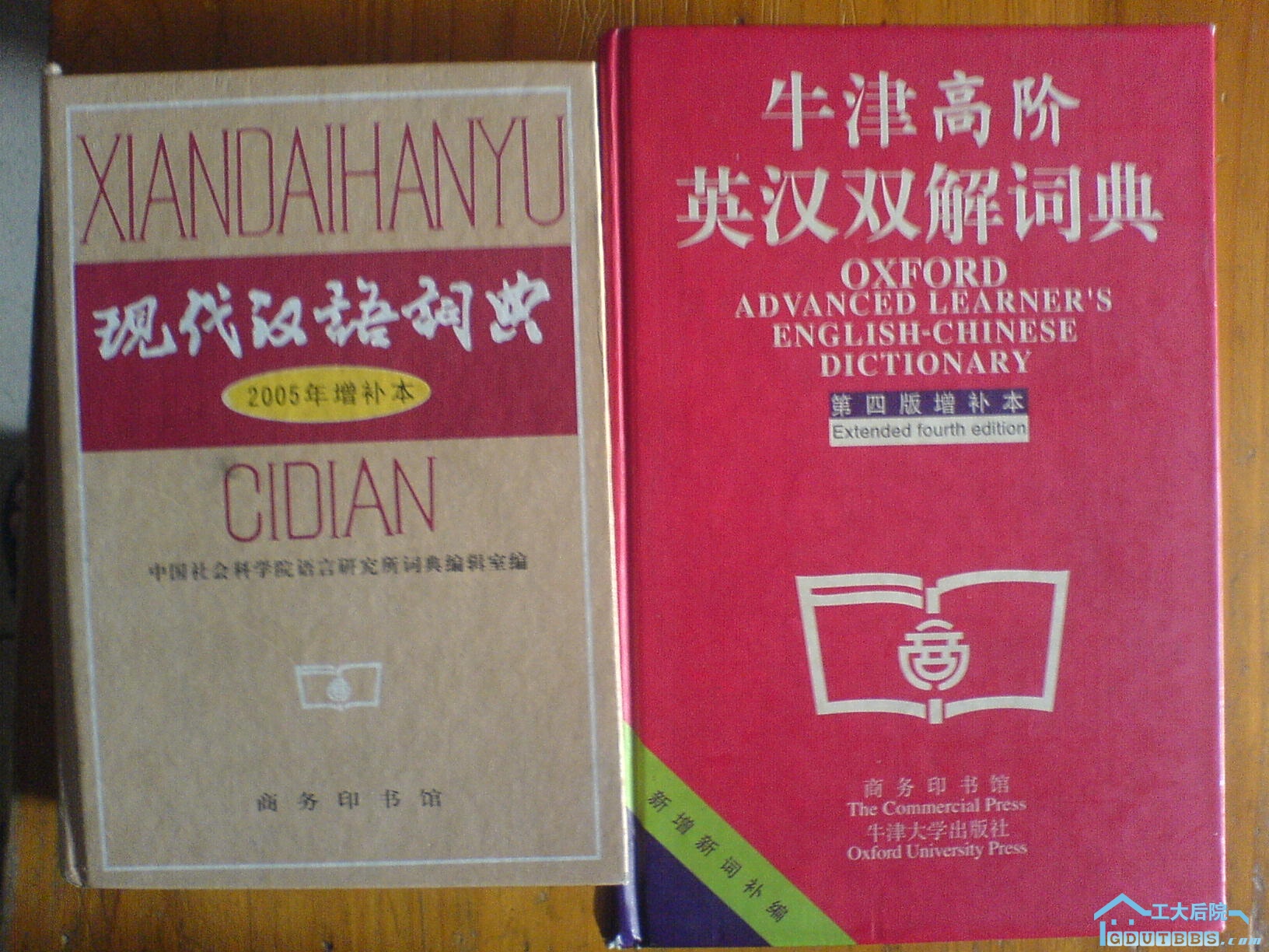 DSC01005.JPG