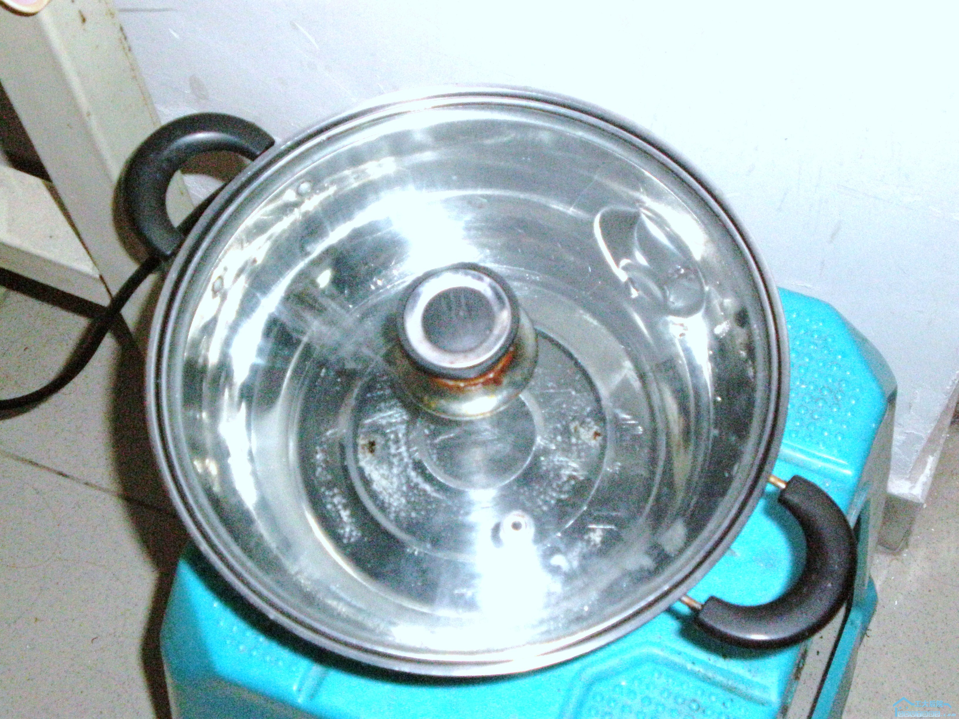 P6230035.JPG