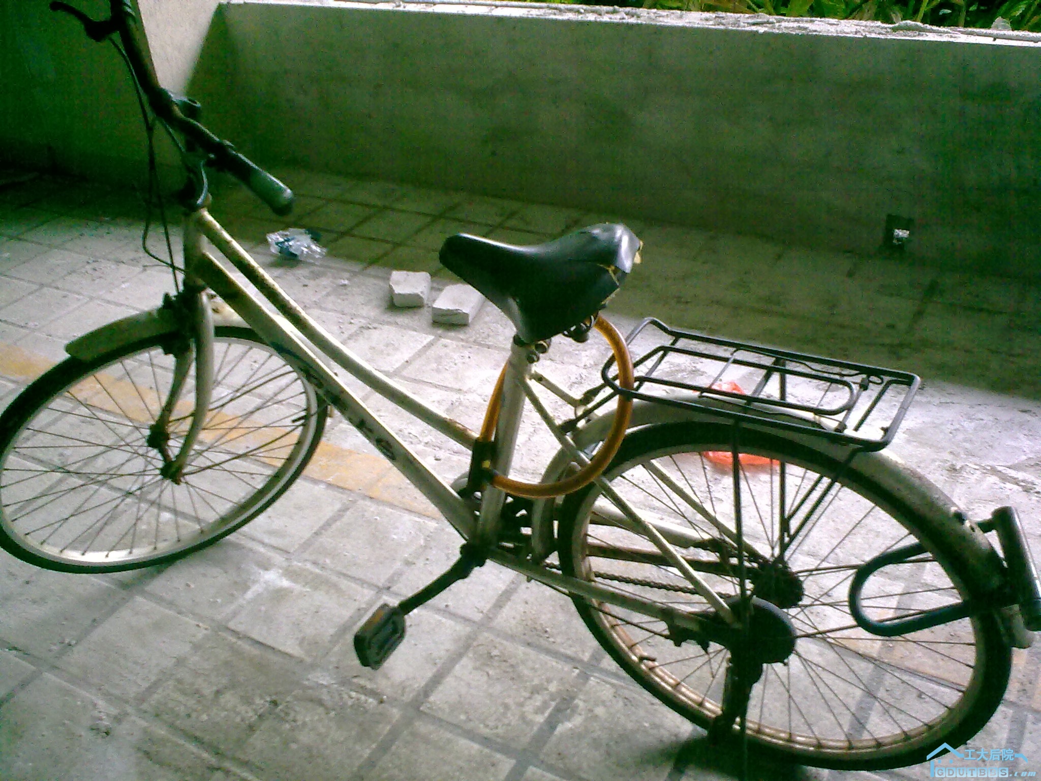 20100627414.jpg