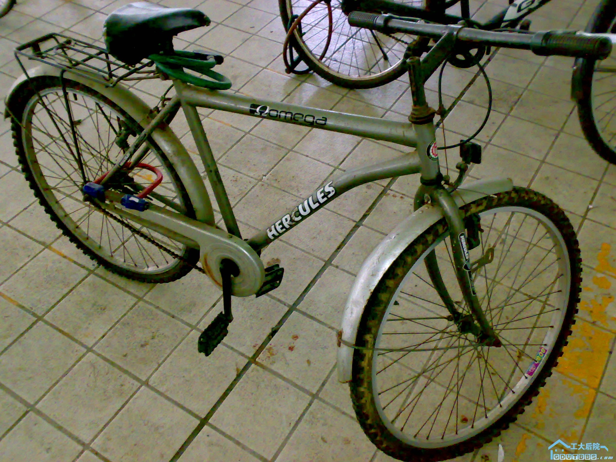 20100627203.jpg