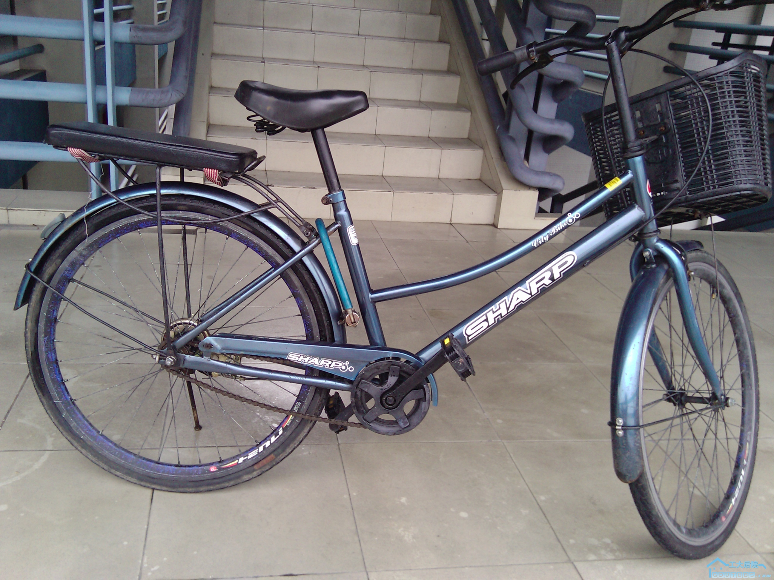 2010-06-27 12.26.48.jpg