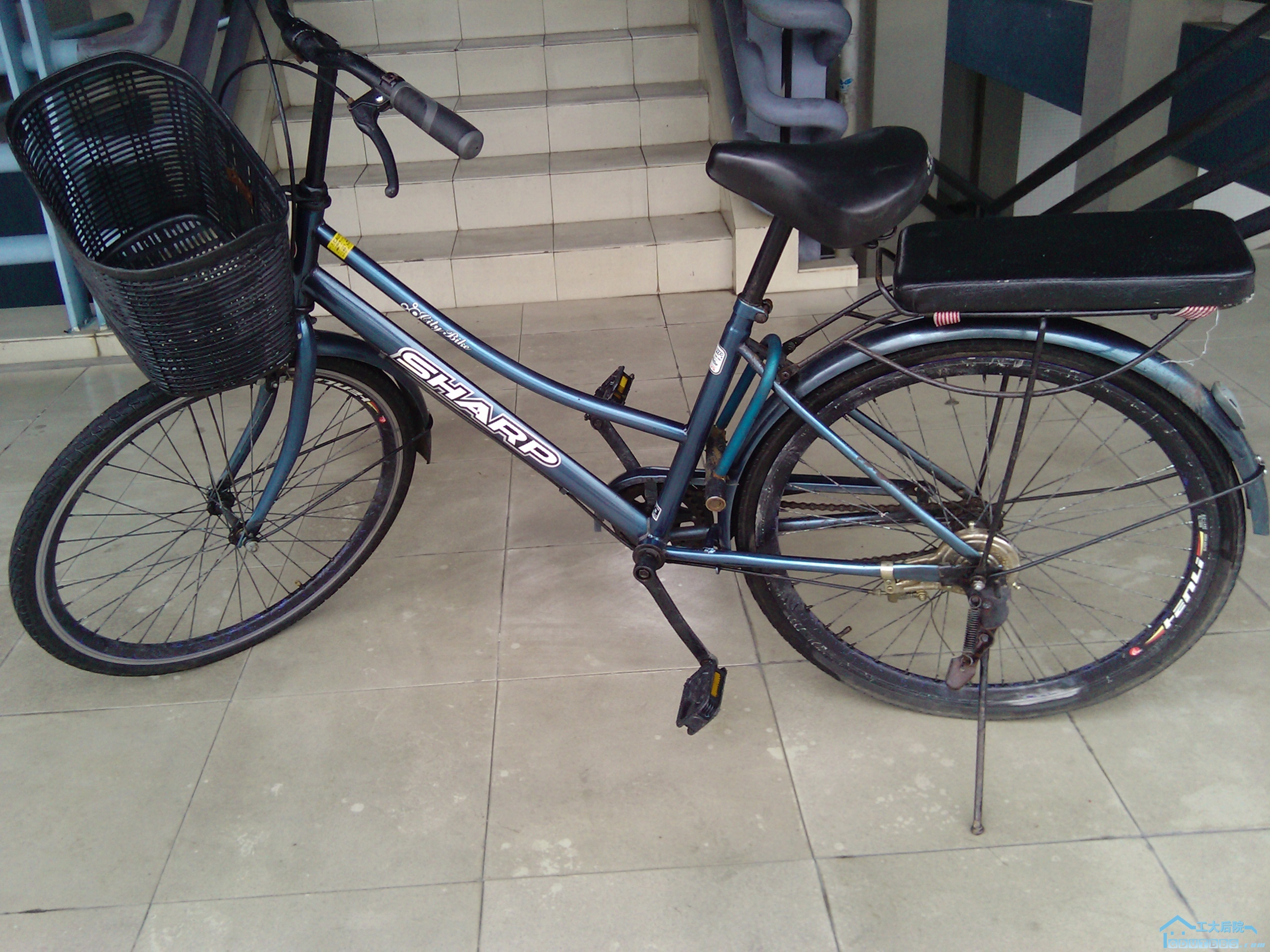 2010-06-27 12.28.31.jpg