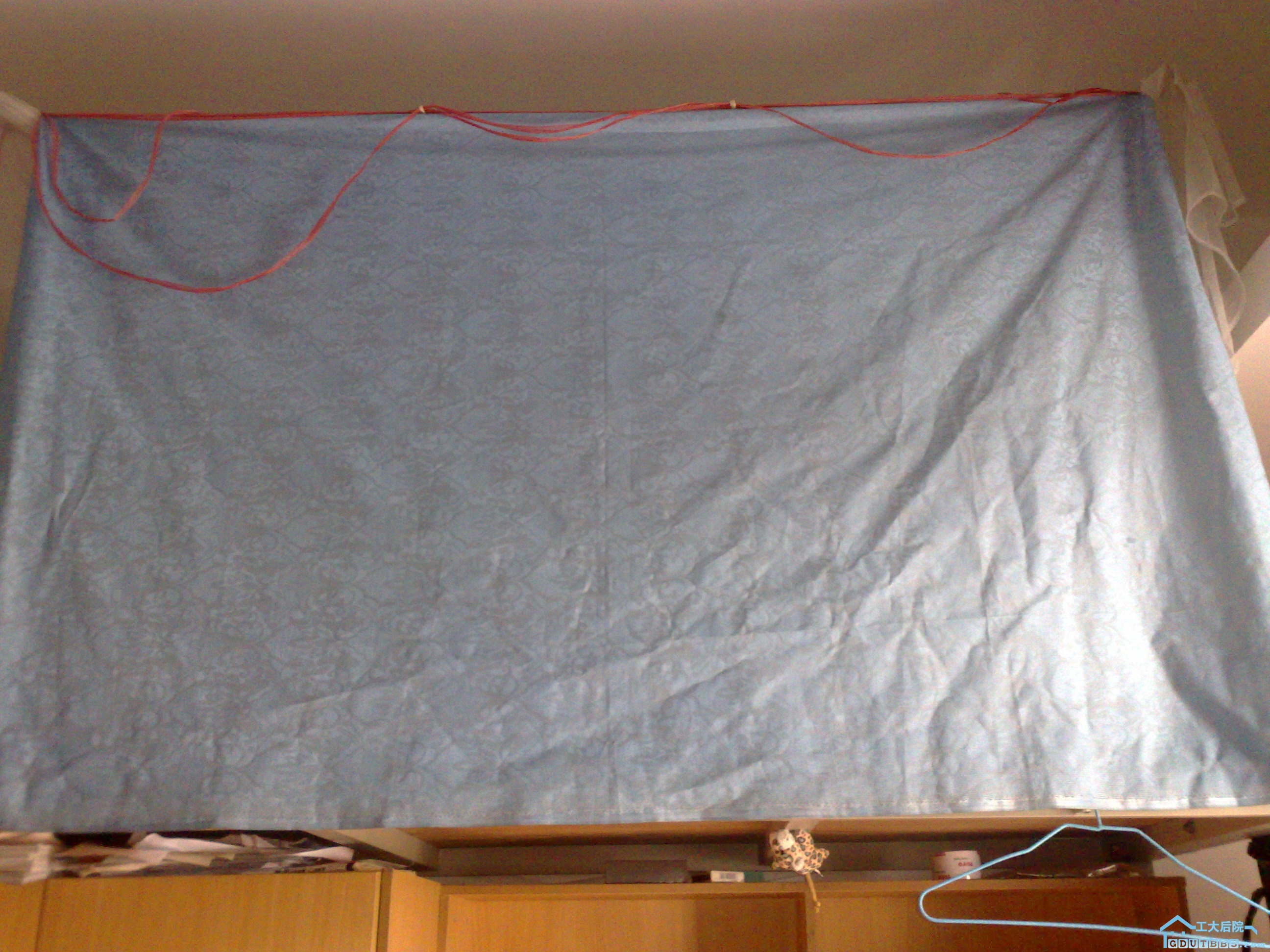 201006251012.jpg
