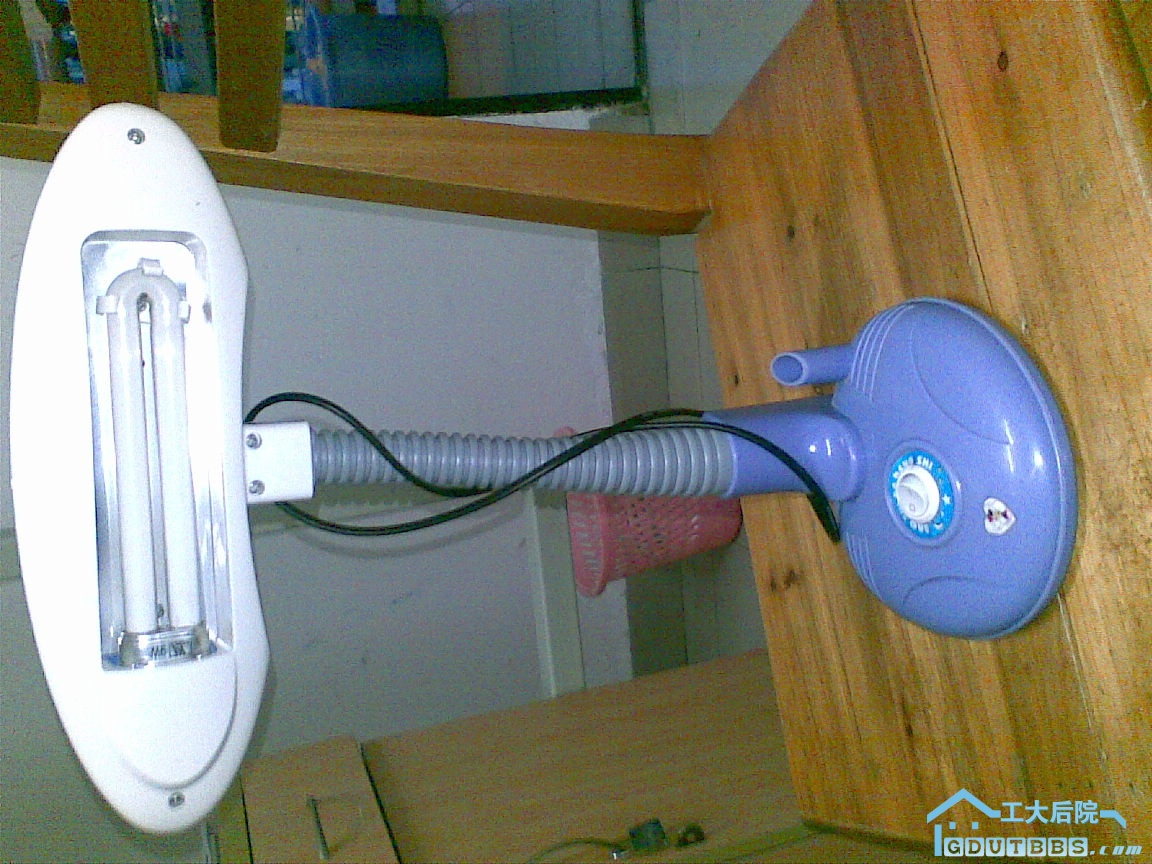 20100627(009).jpg