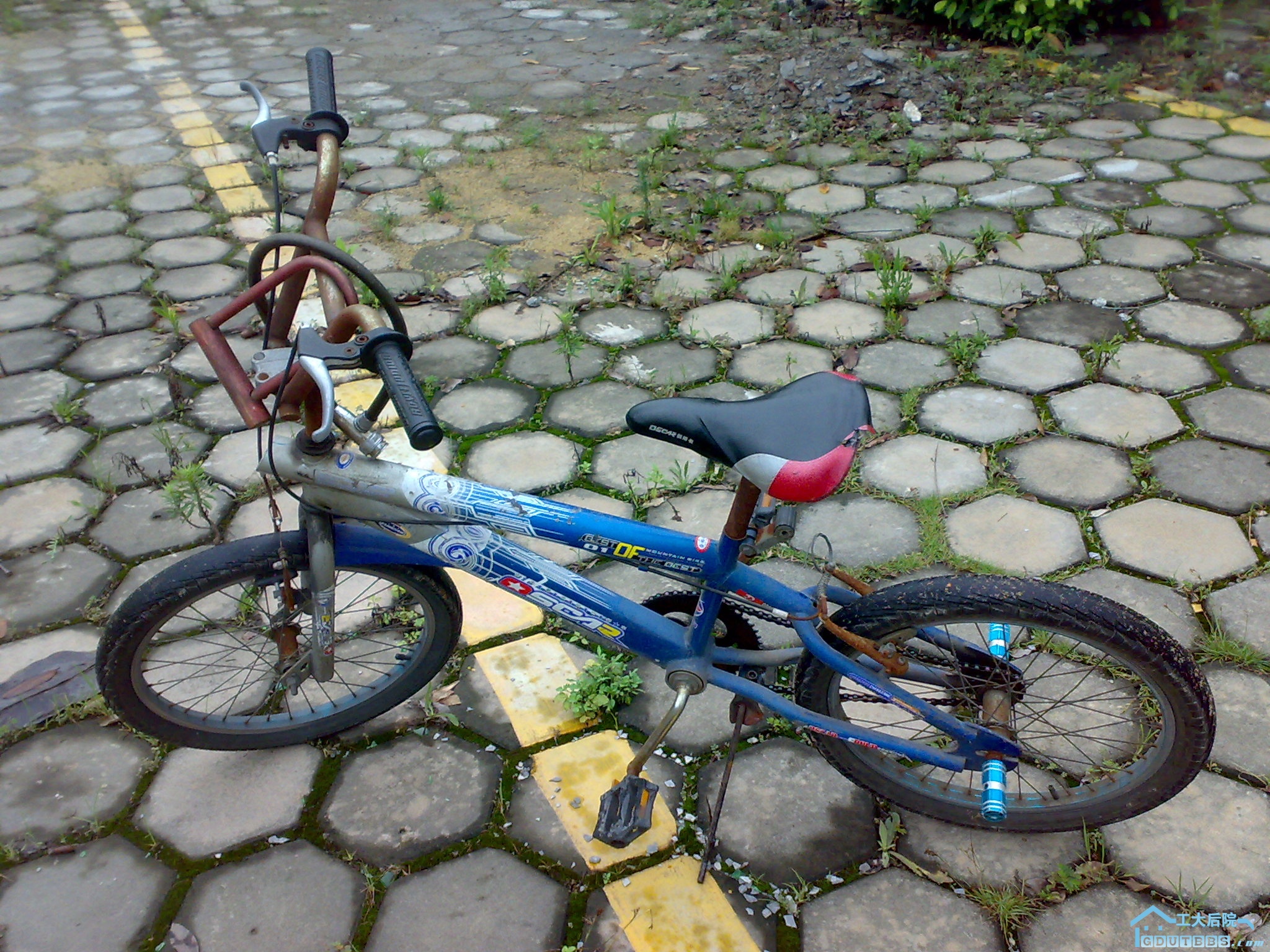 20100627671.jpg