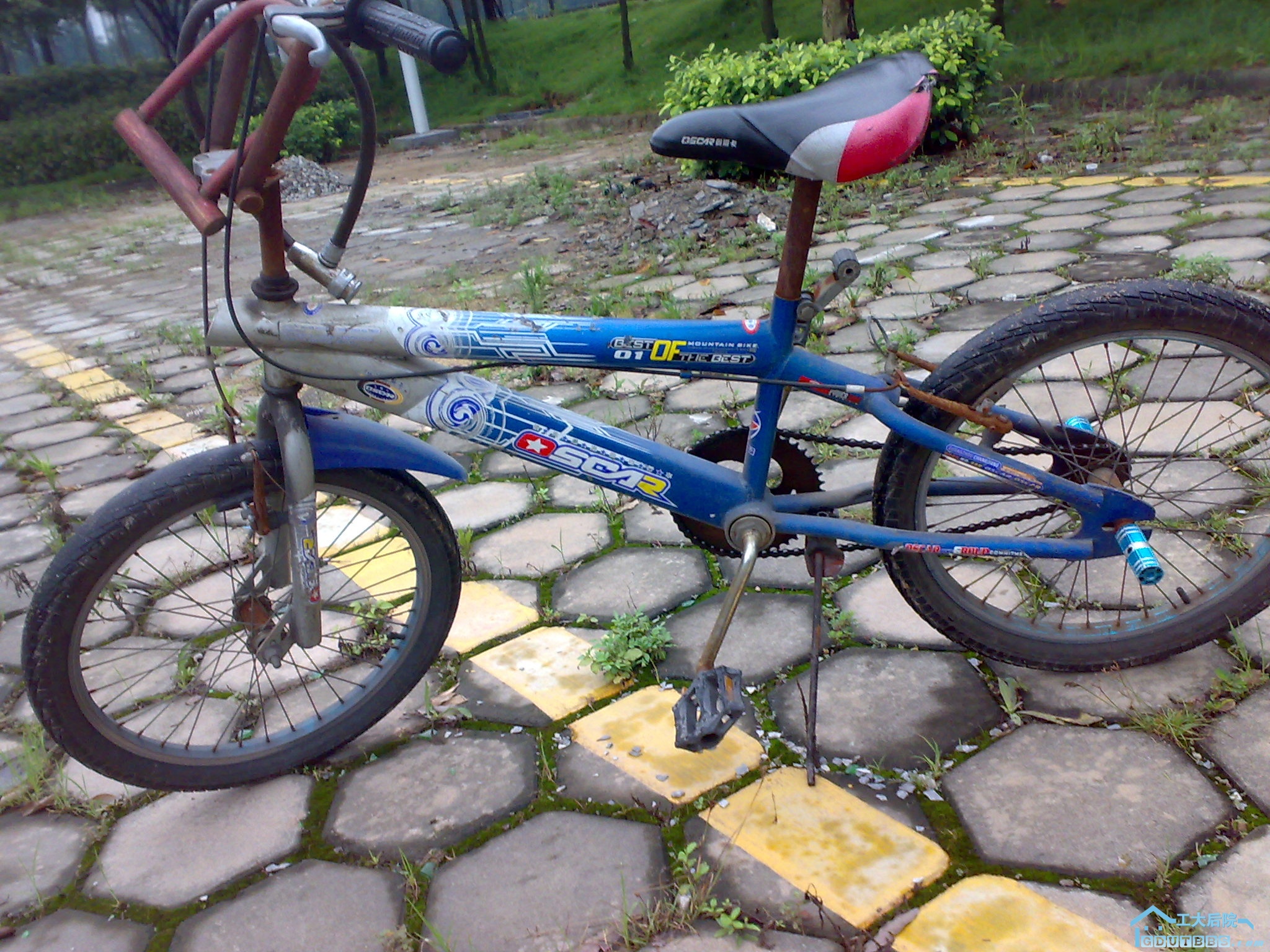 20100627672.jpg