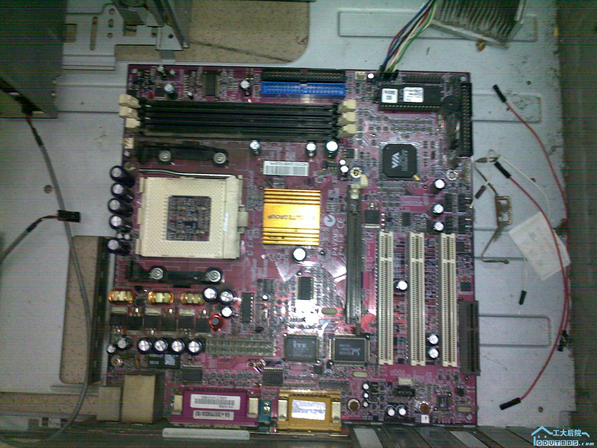 20100627638.jpg