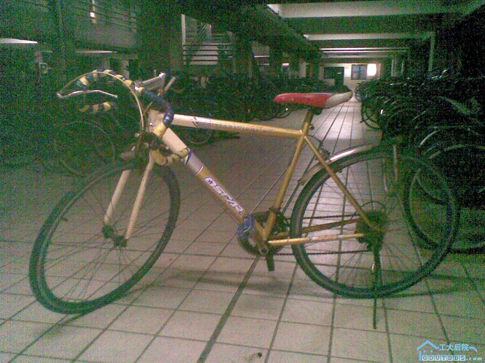 24062010(002).jpg