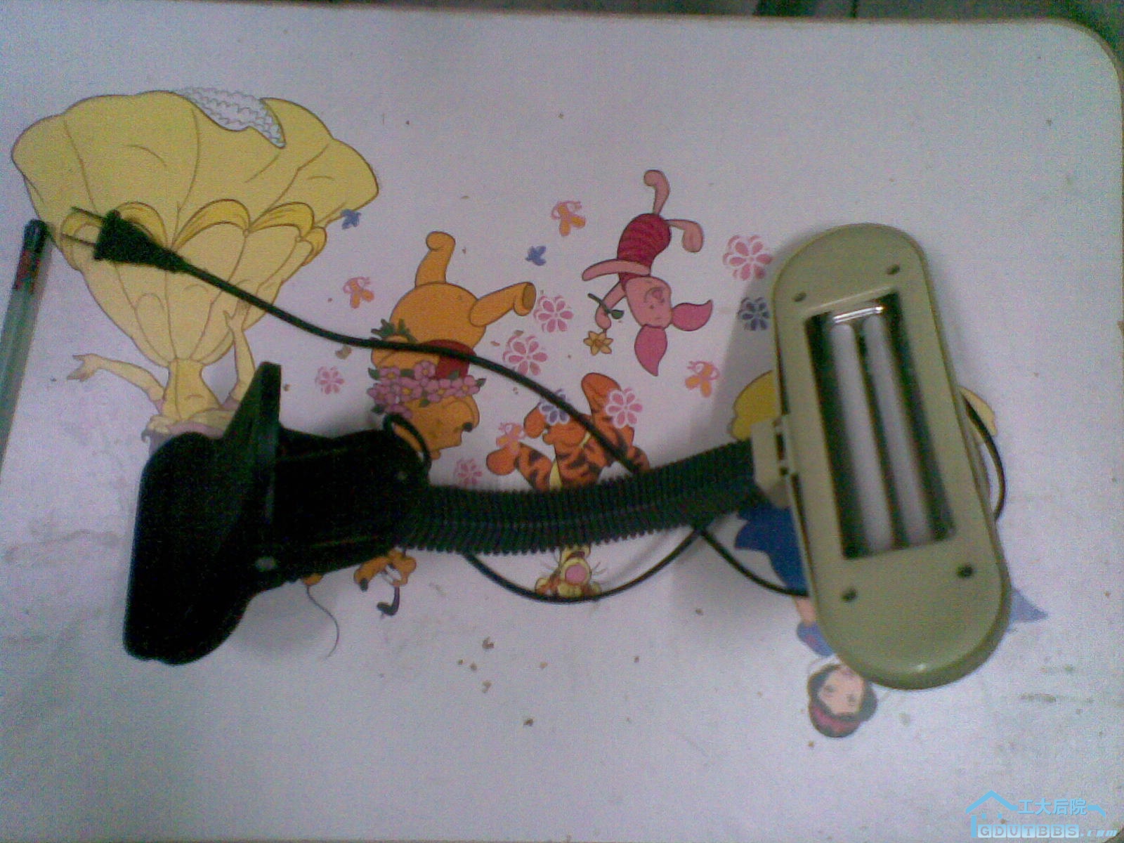27062010(007).jpg