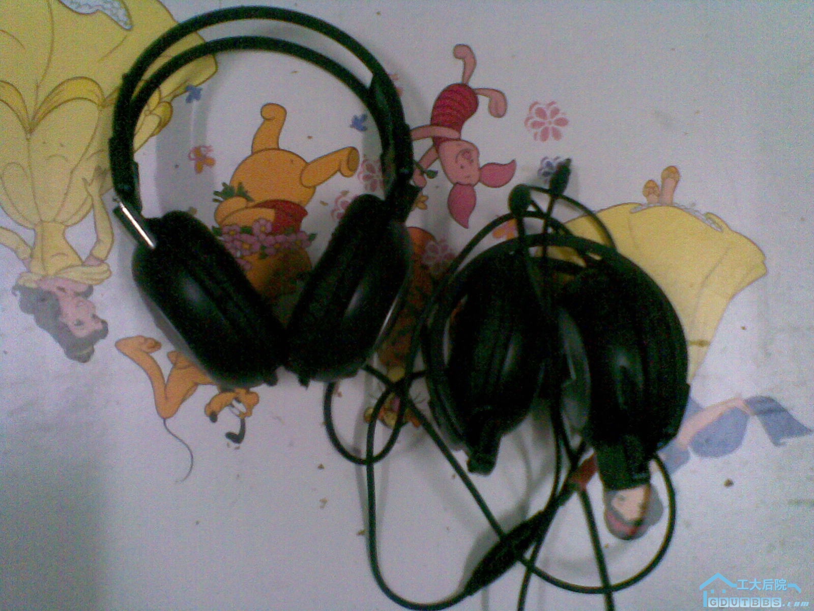 27062010(002).jpg