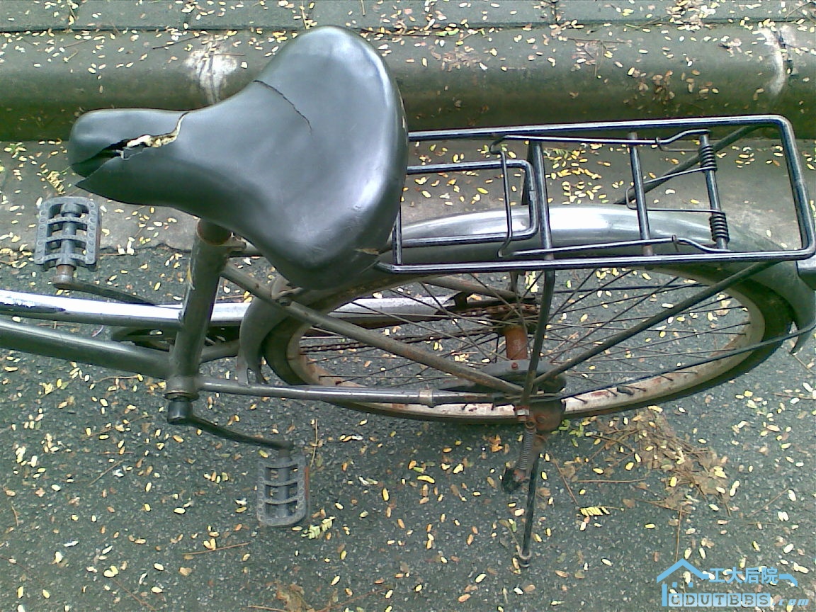 20100627(003).jpg