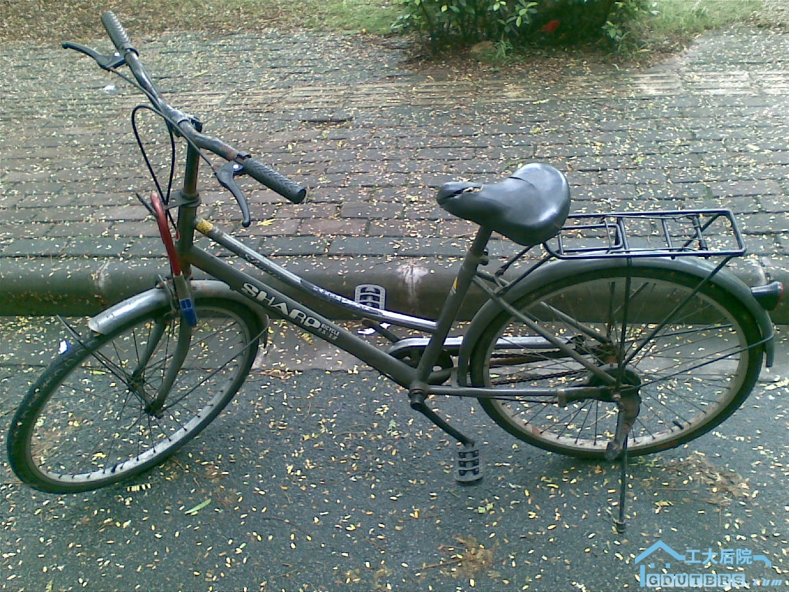 20100627.jpg