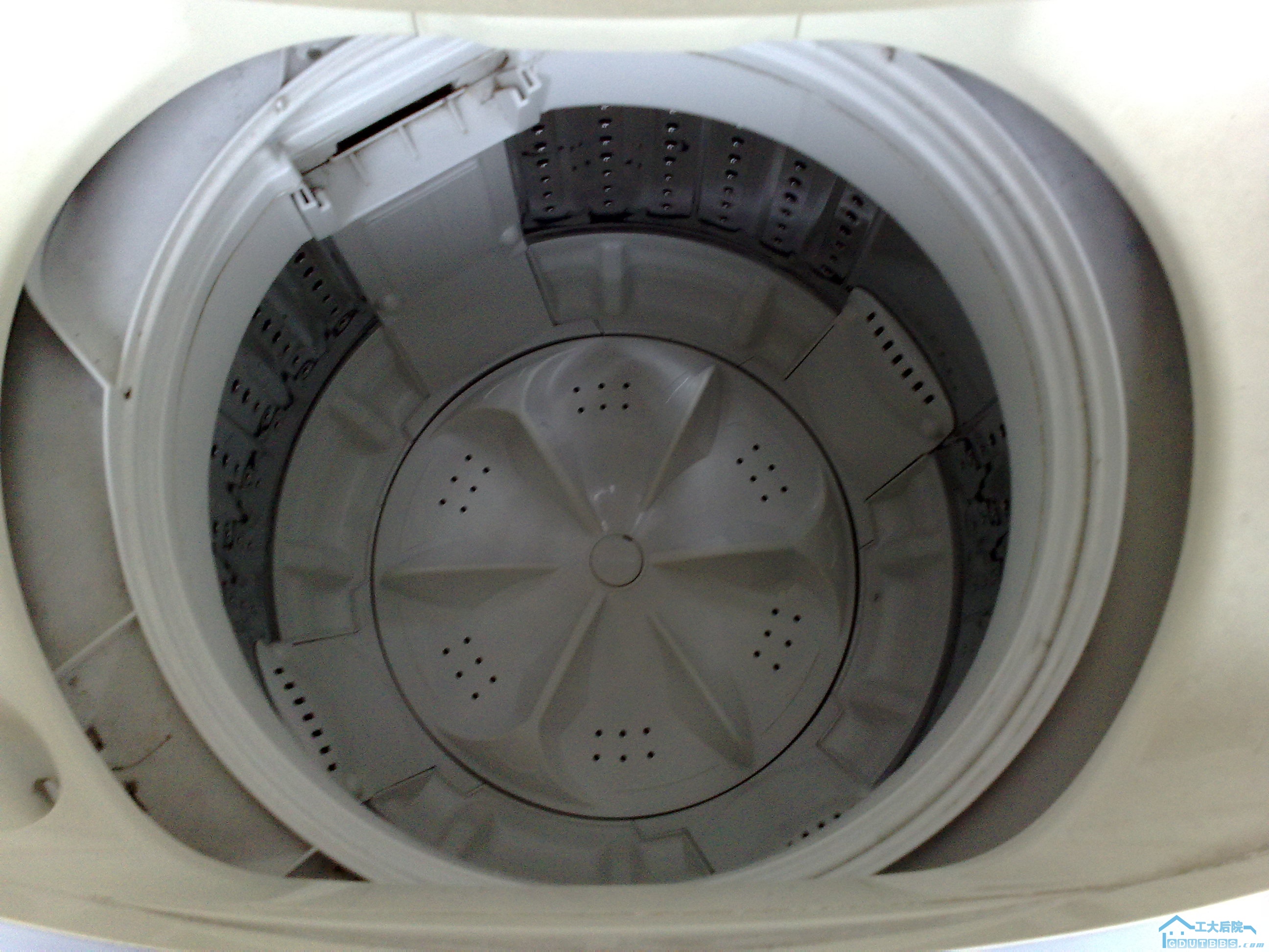20100628260.jpg