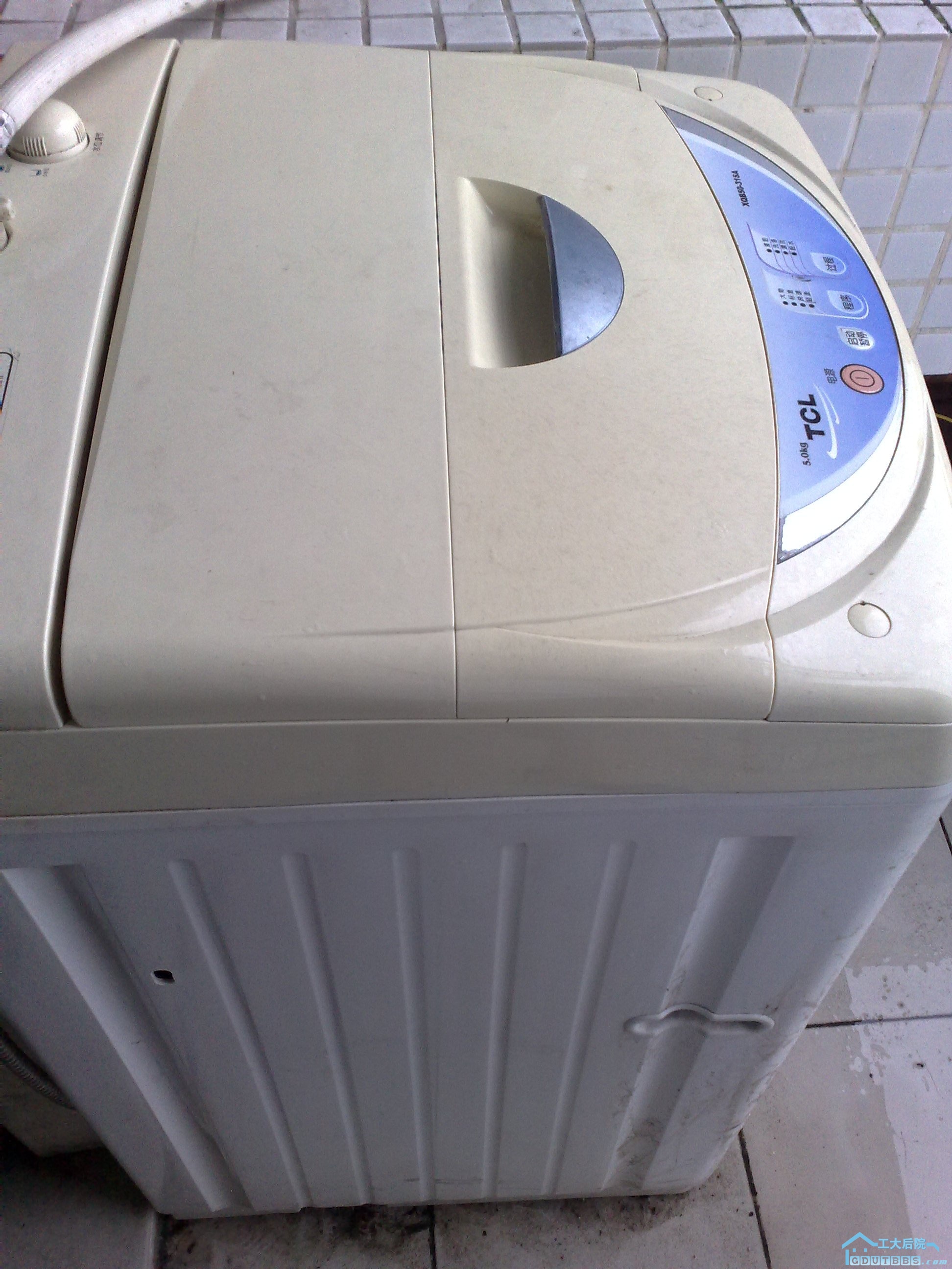20100628261.jpg