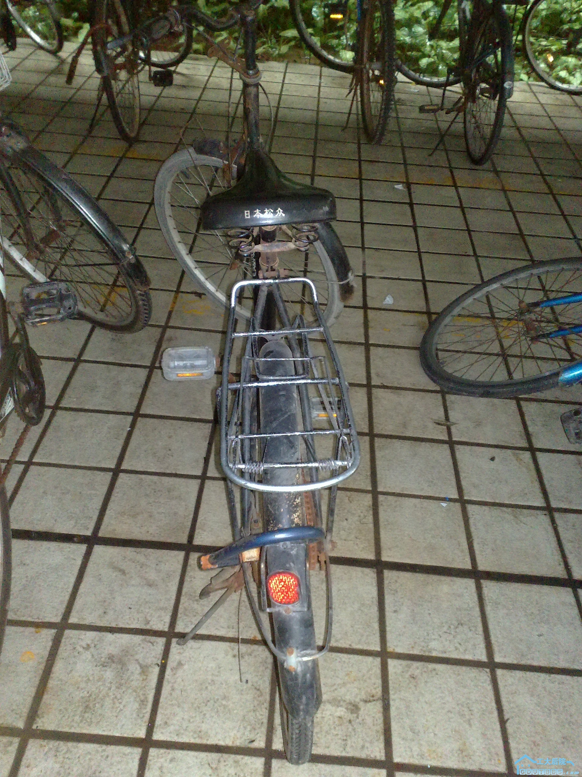 20100628429.jpg