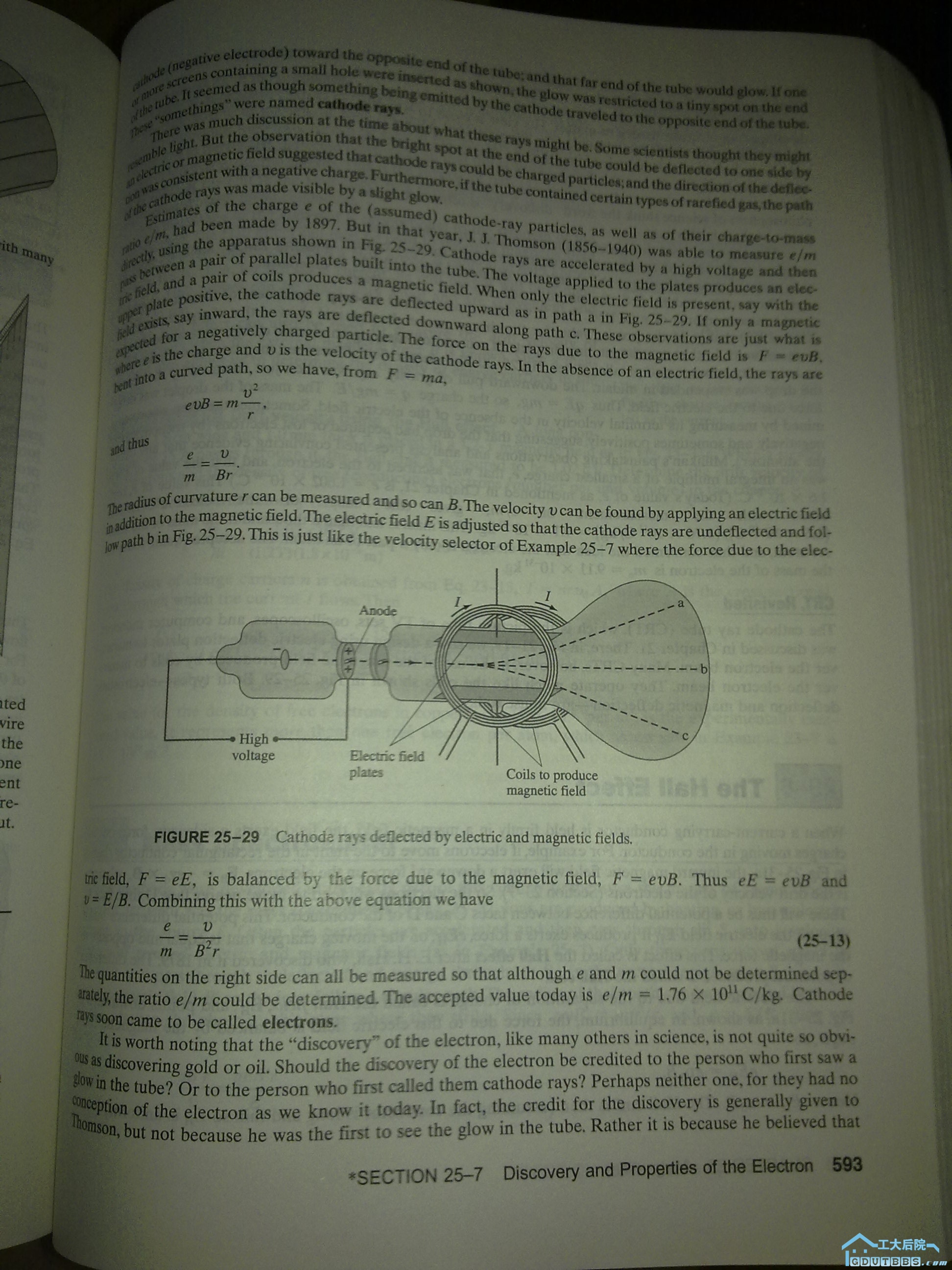 20100628071.jpg