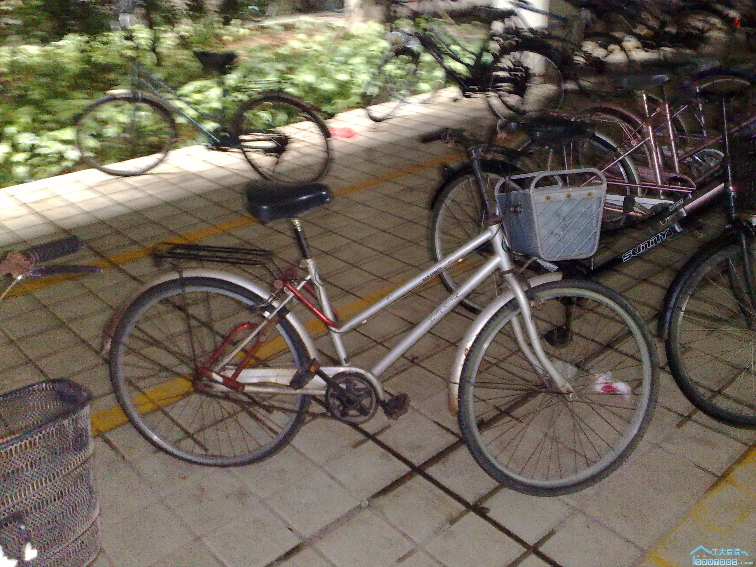 20100628494.jpg
