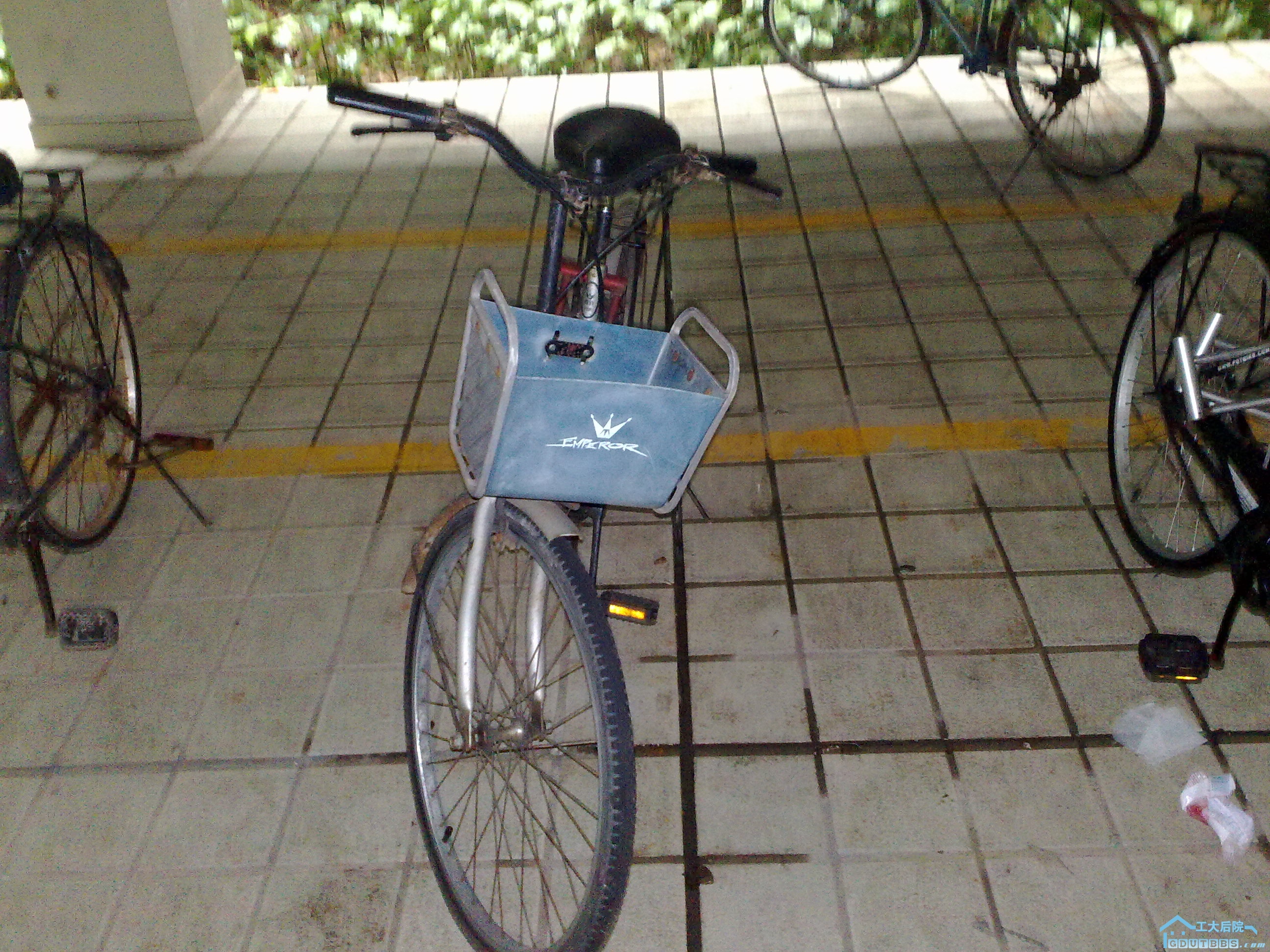 20100628495.jpg