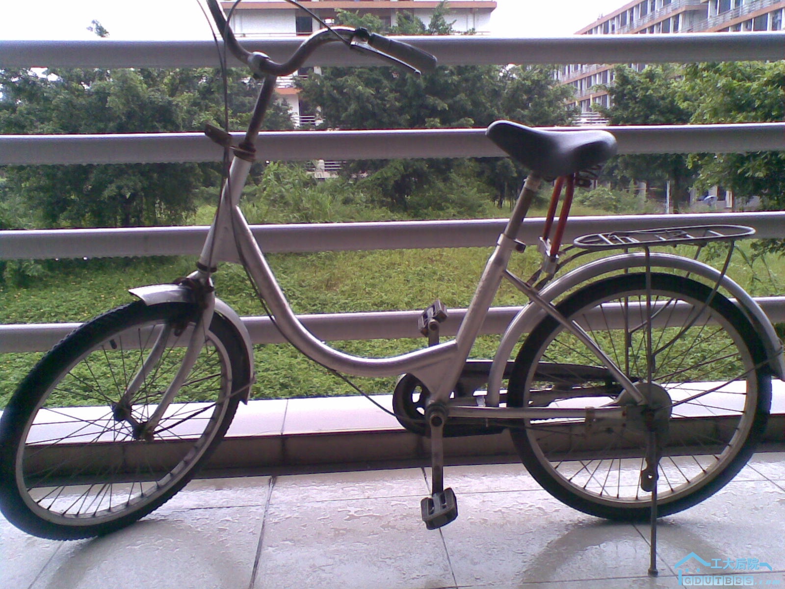 20100628(013).jpg
