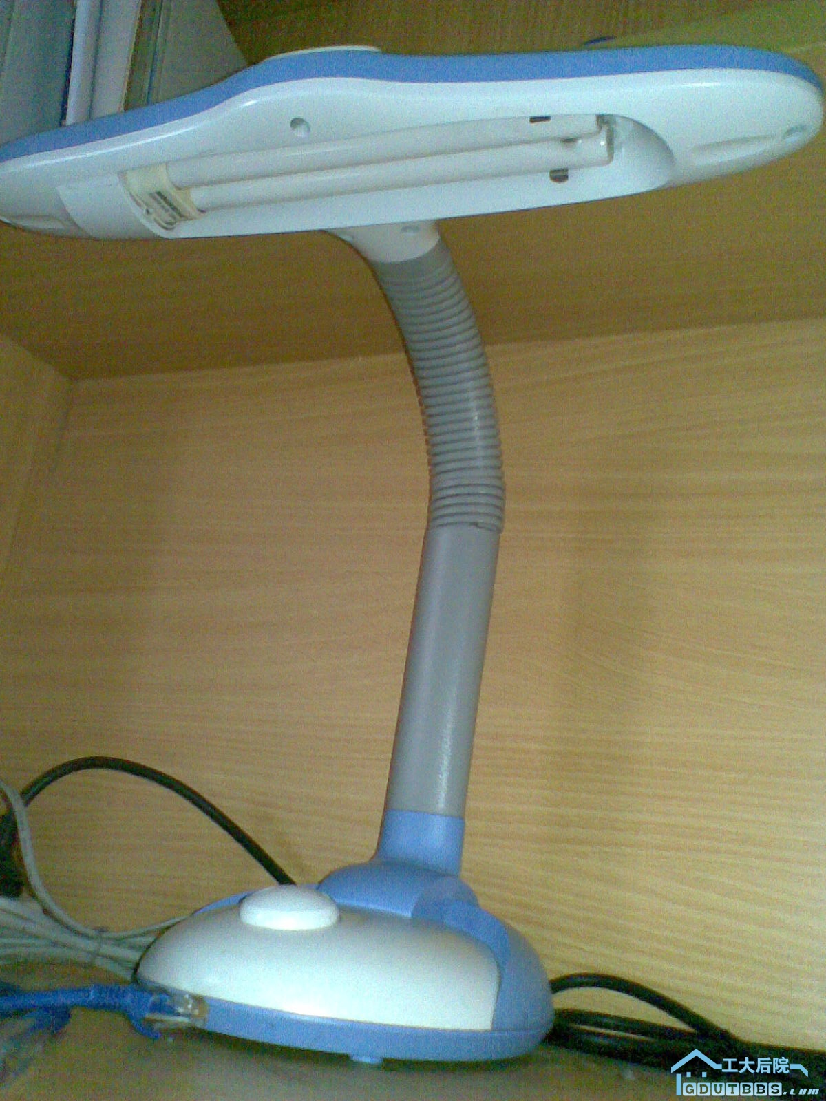 20100628(023).jpg