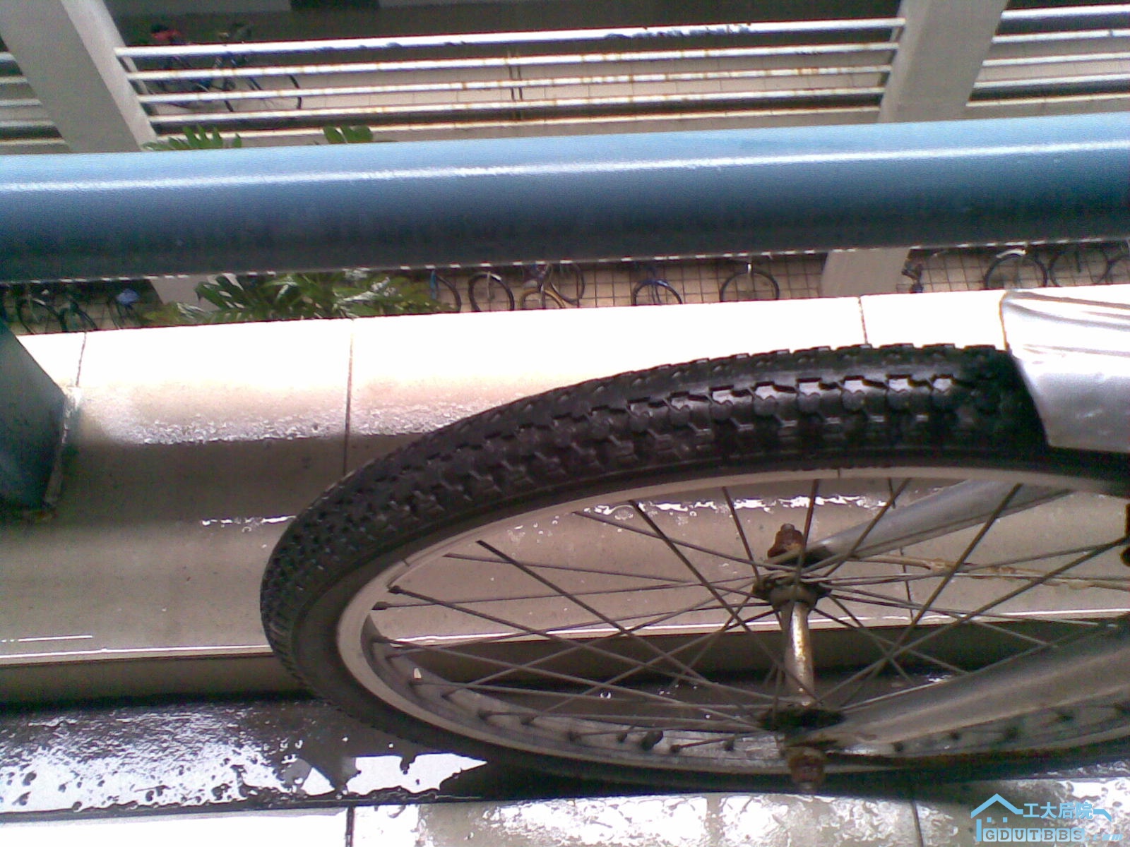 20100628(002).jpg