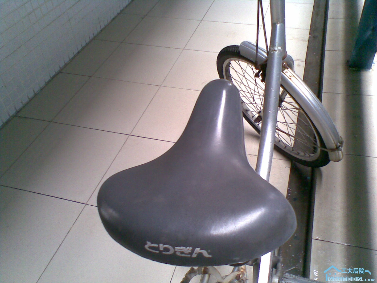 20100628(012).jpg