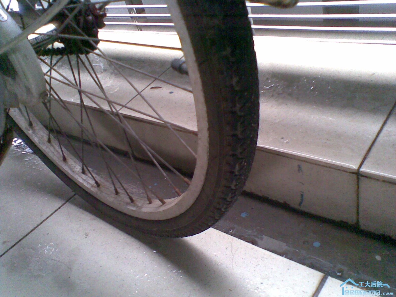 20100628(007).jpg