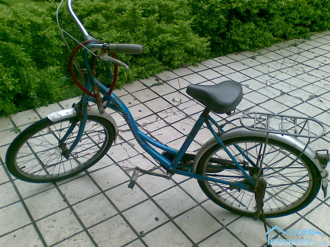20100628(006).jpg