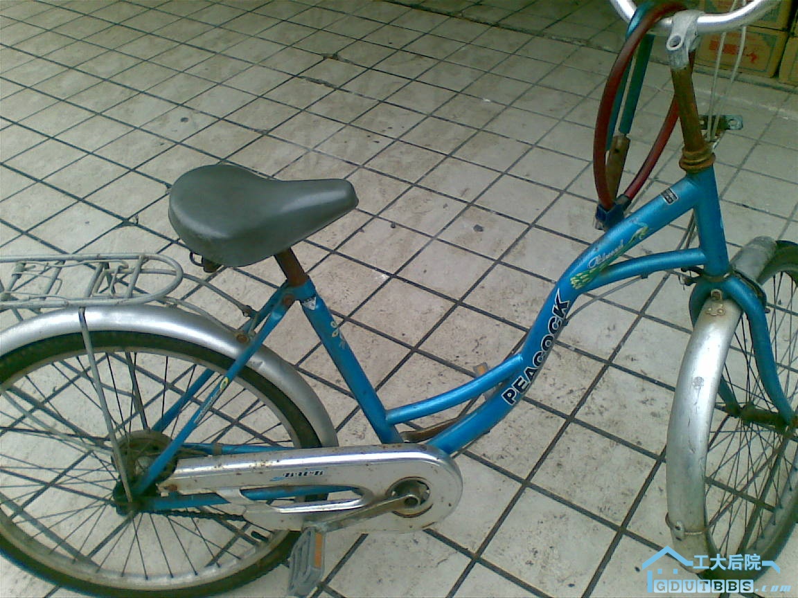 20100628(007).jpg
