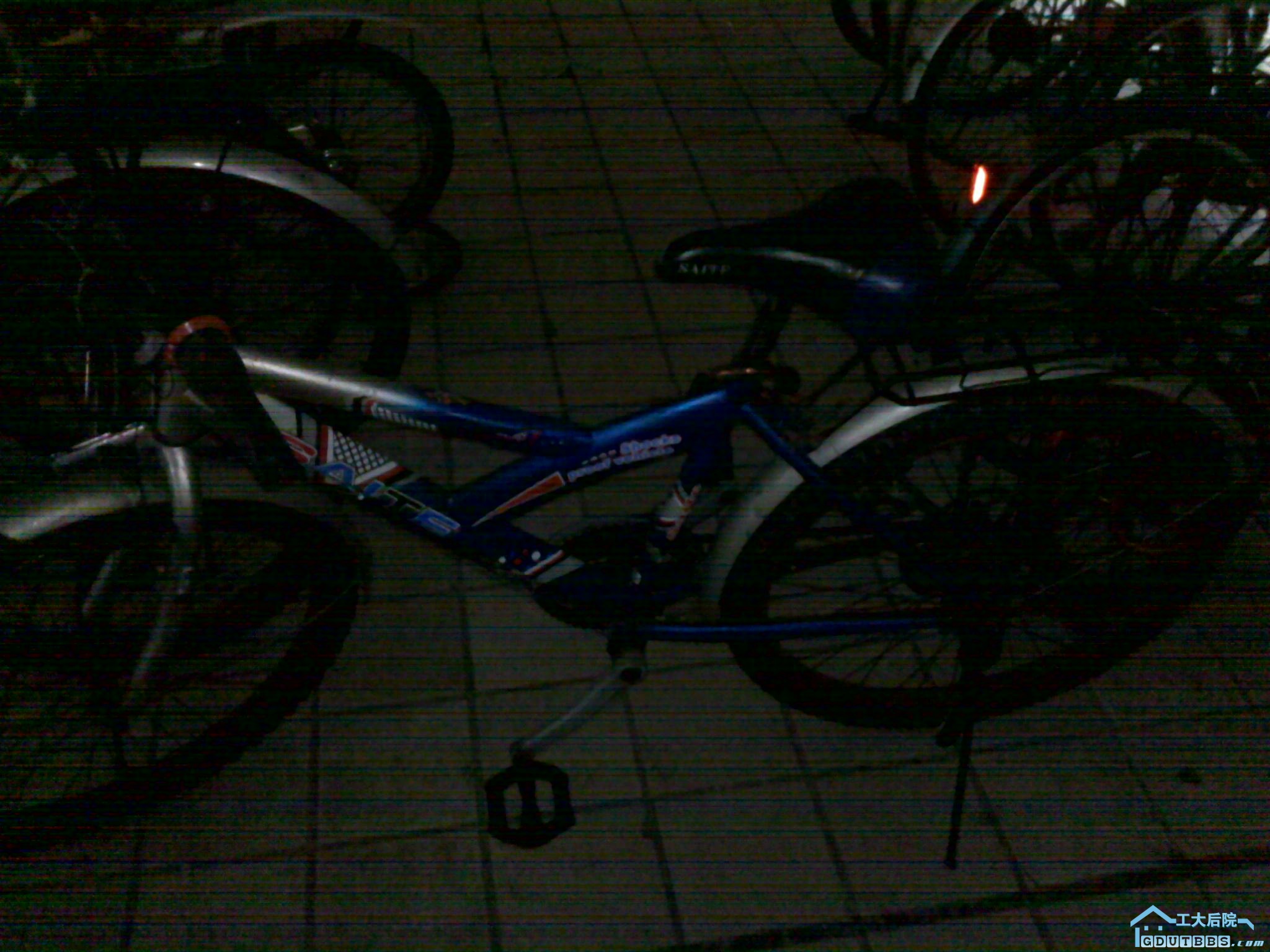 20100628639.jpg
