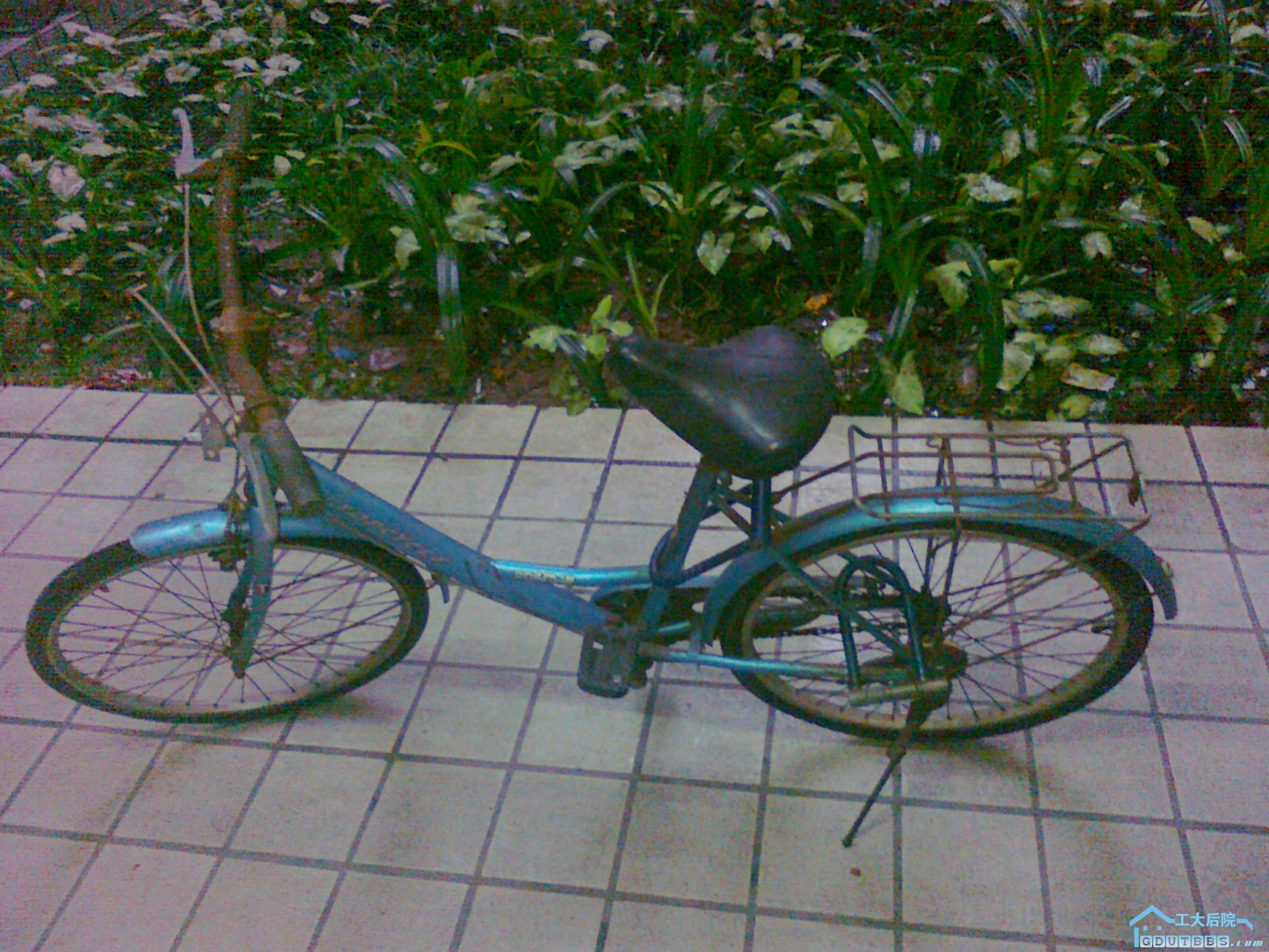 20100626125.jpg