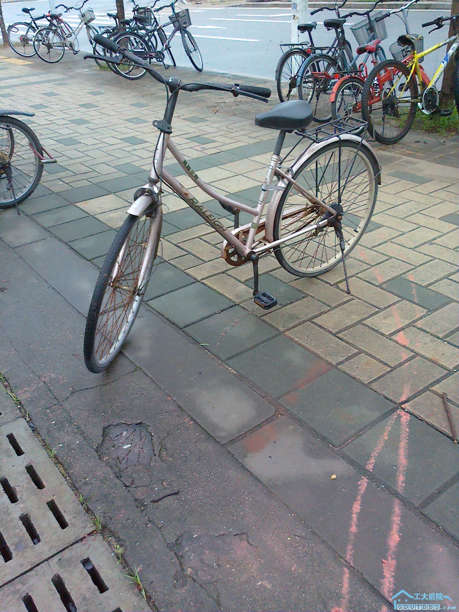 20100628306.jpg