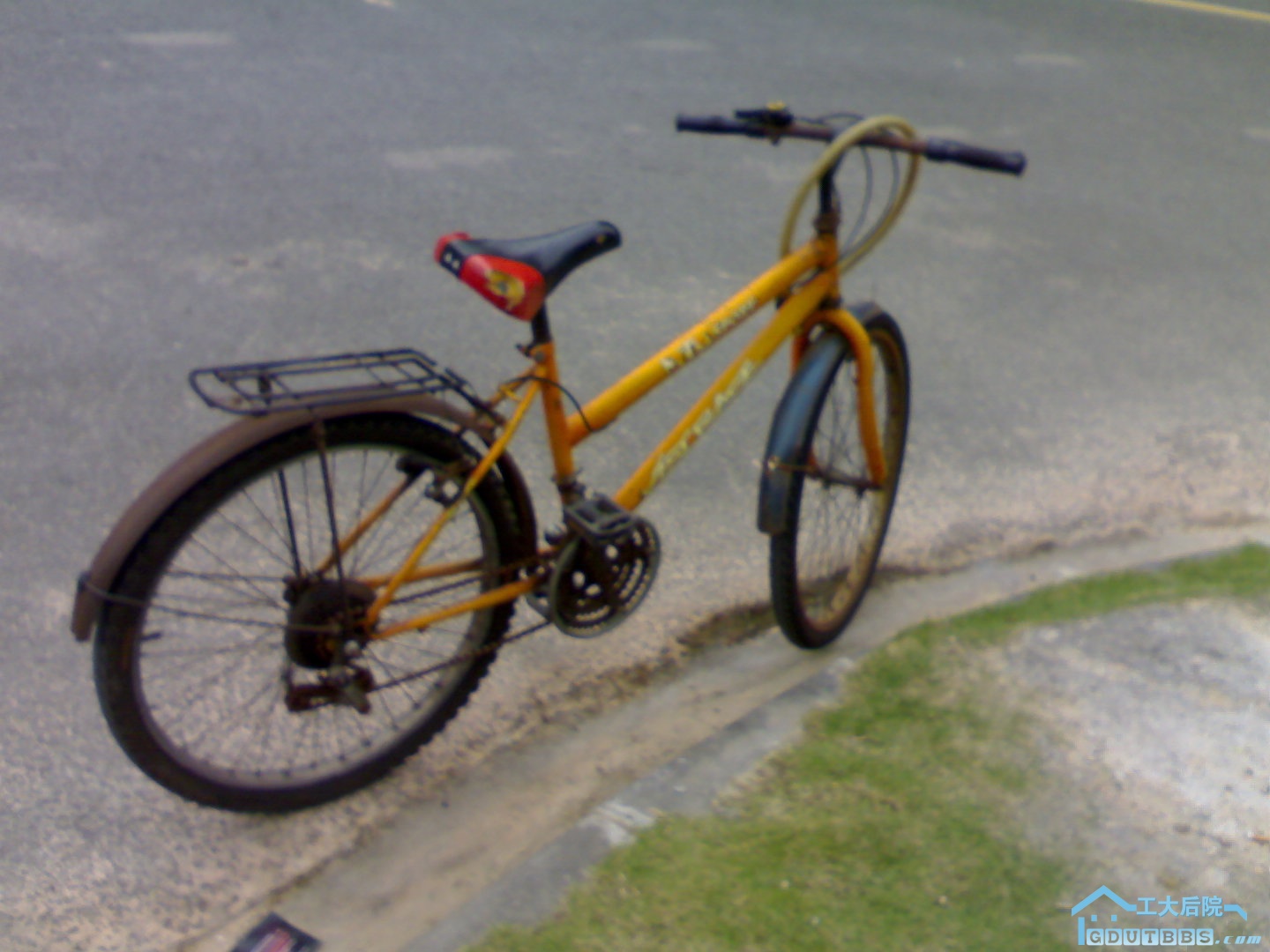 20100620234.jpg