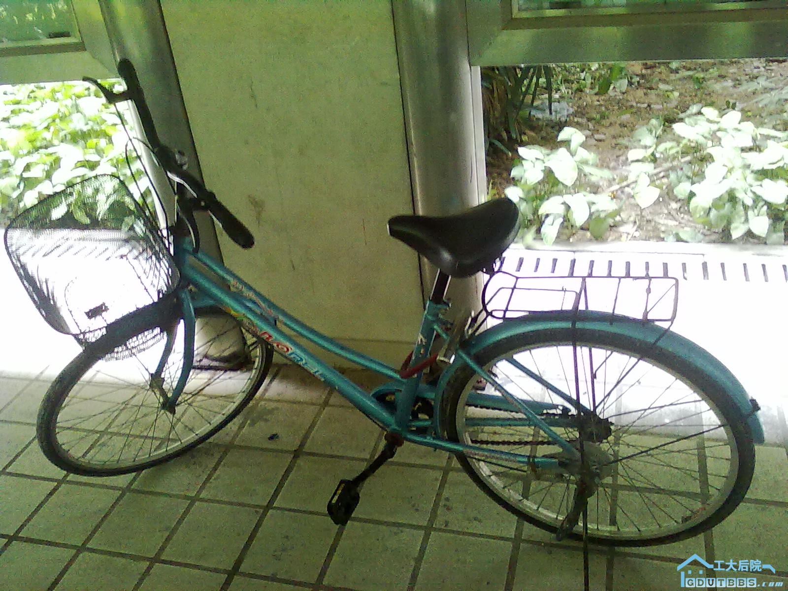 20100629117.jpg