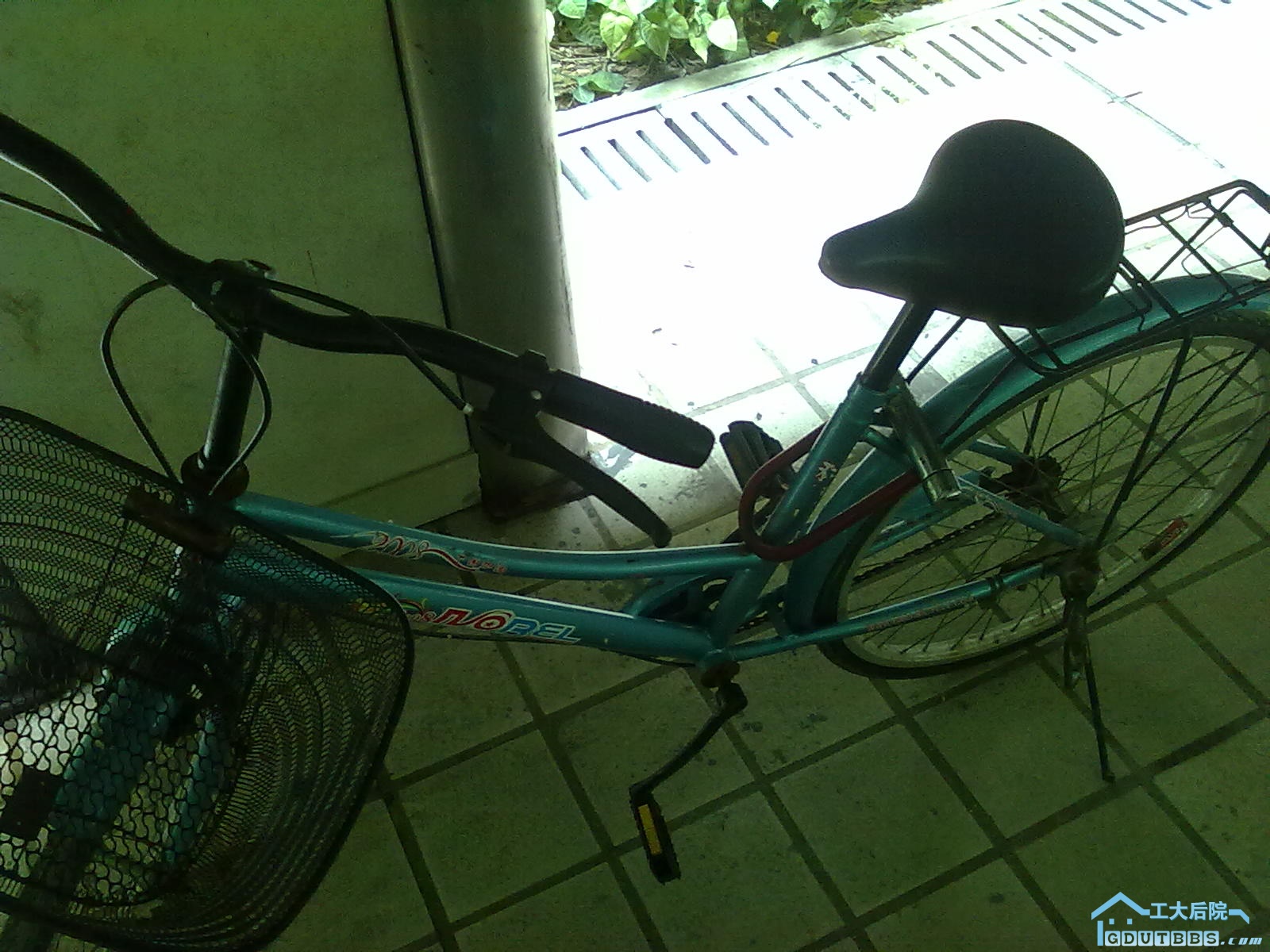 20100629118.jpg