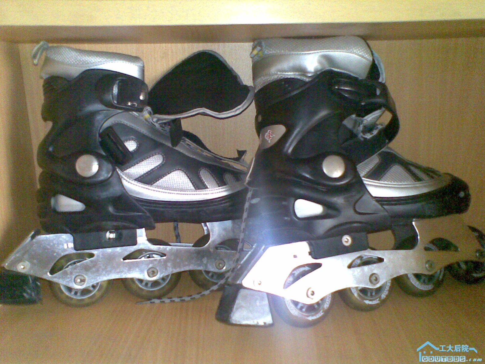 20100629(001).jpg