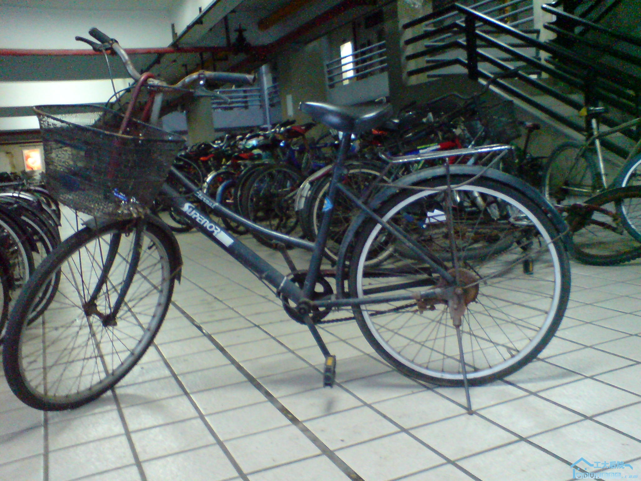 DSC01366.JPG