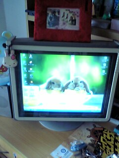 三星17寸纯平100元