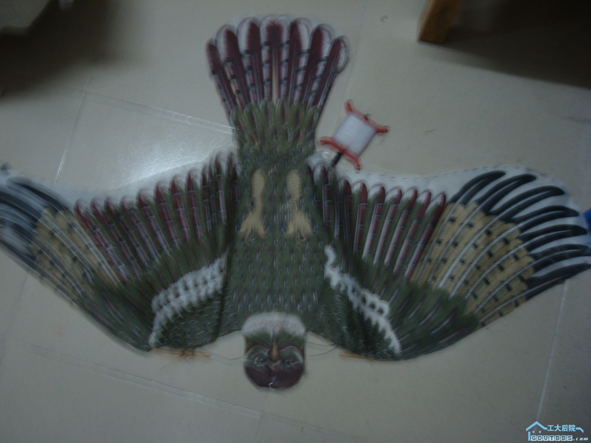 DSC03371.JPG