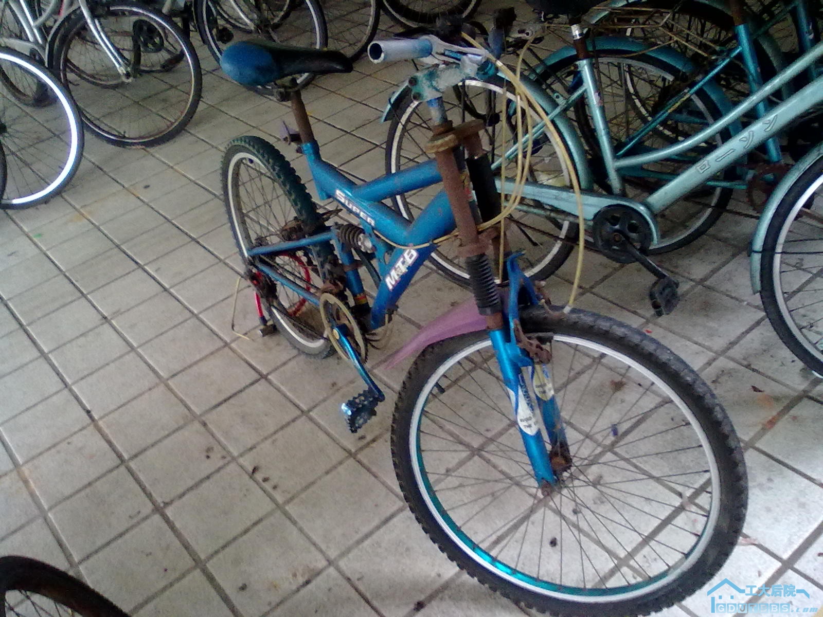 20100628029.jpg